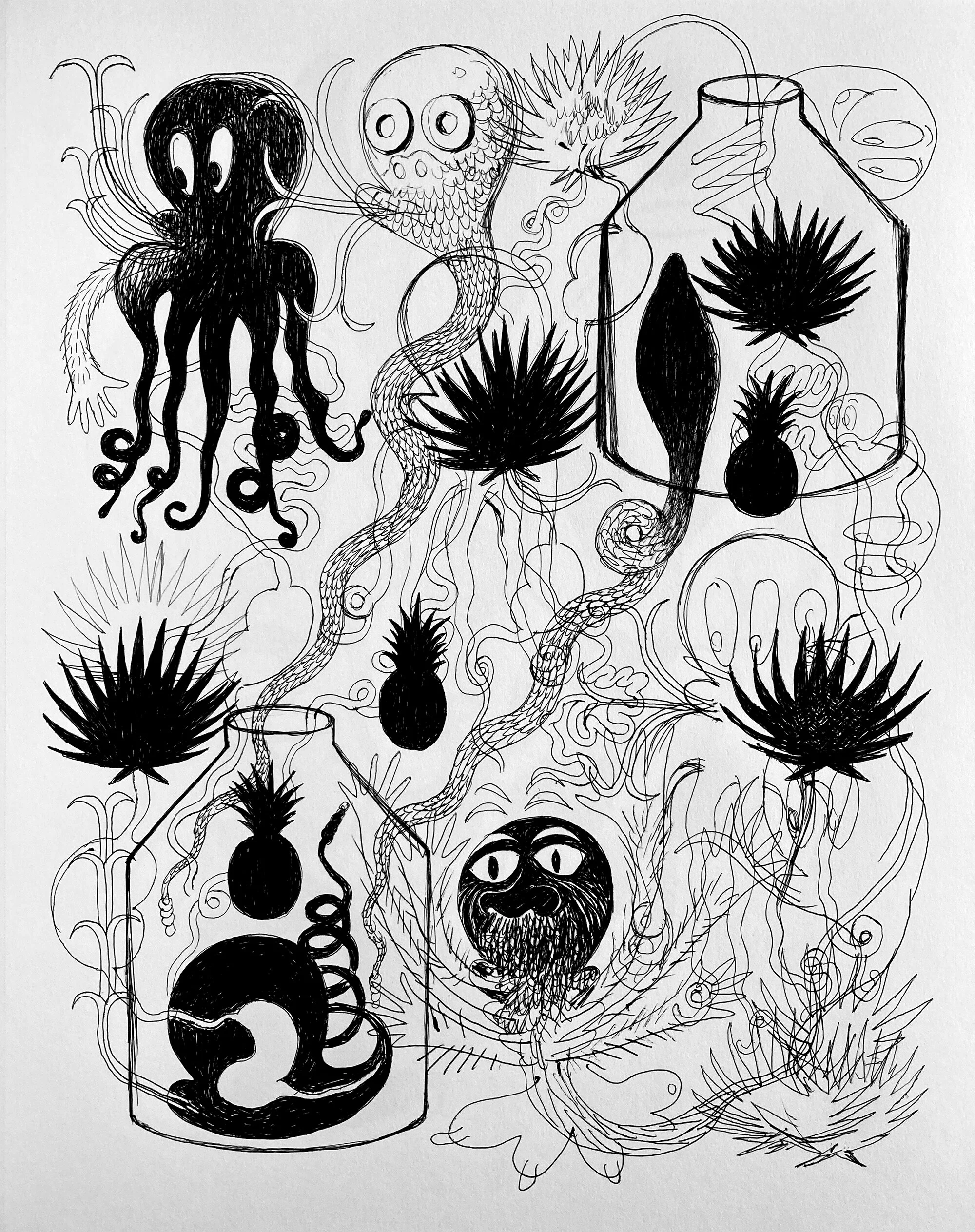 Kraken Mestizo (serie) - 5