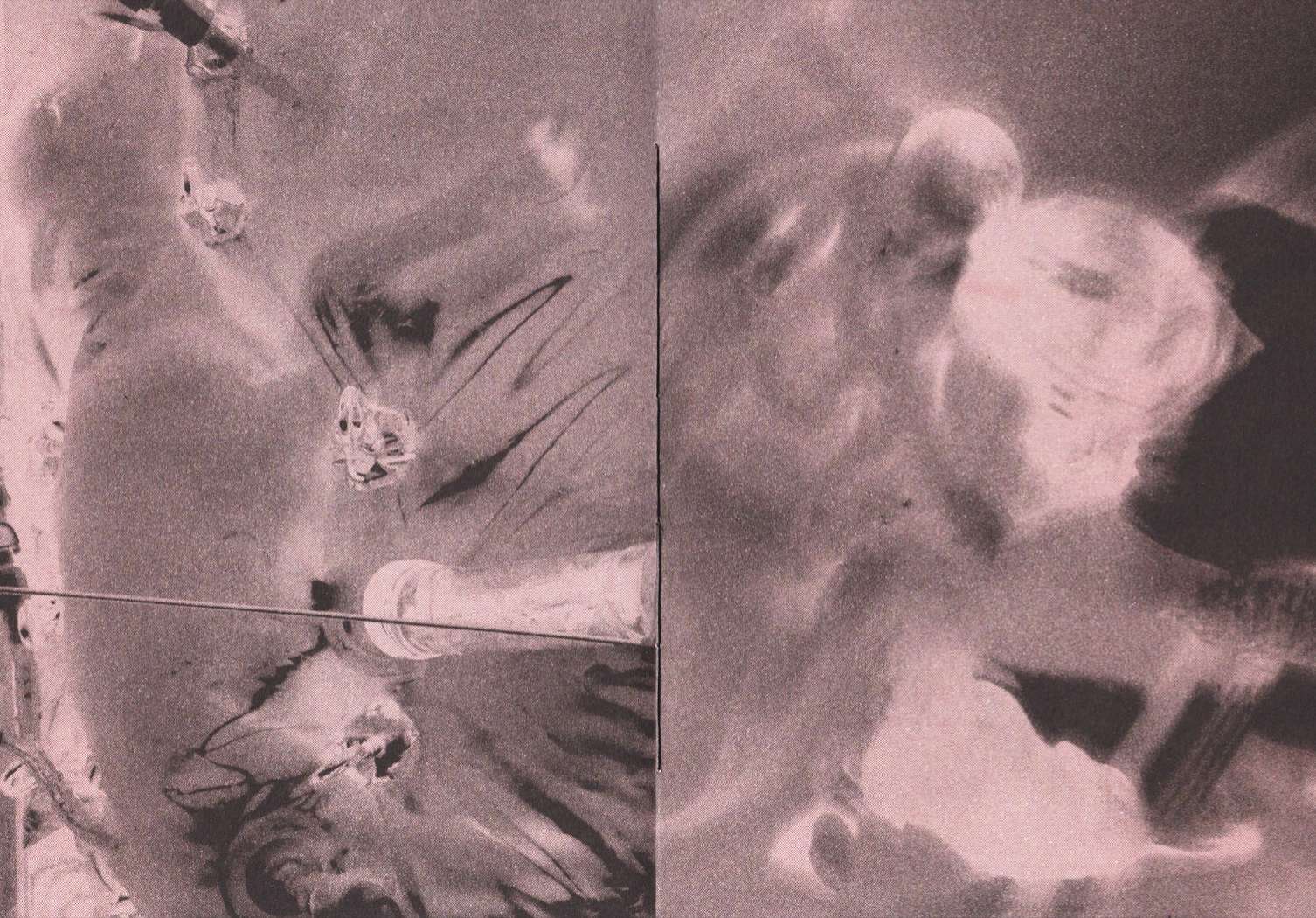 spread6.png