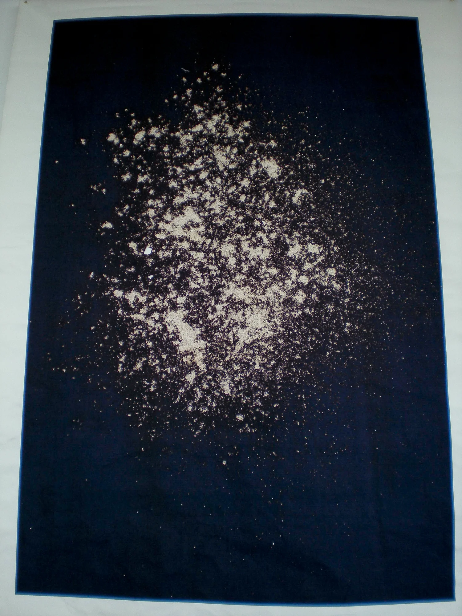 HVH (3 of 5).jpg