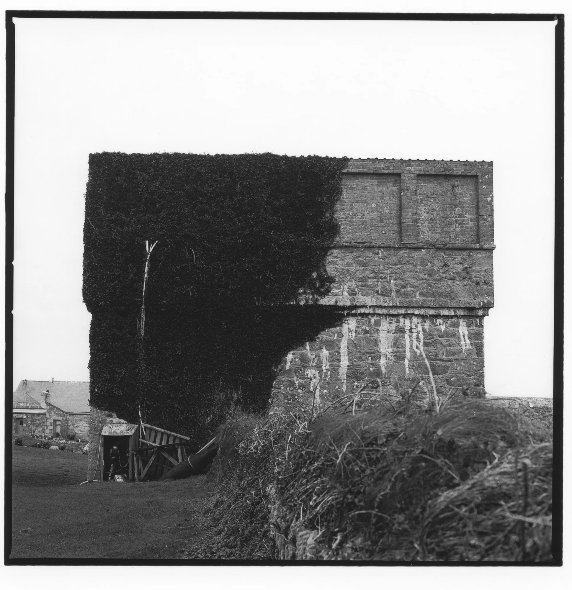 edge (2 of 16).jpg