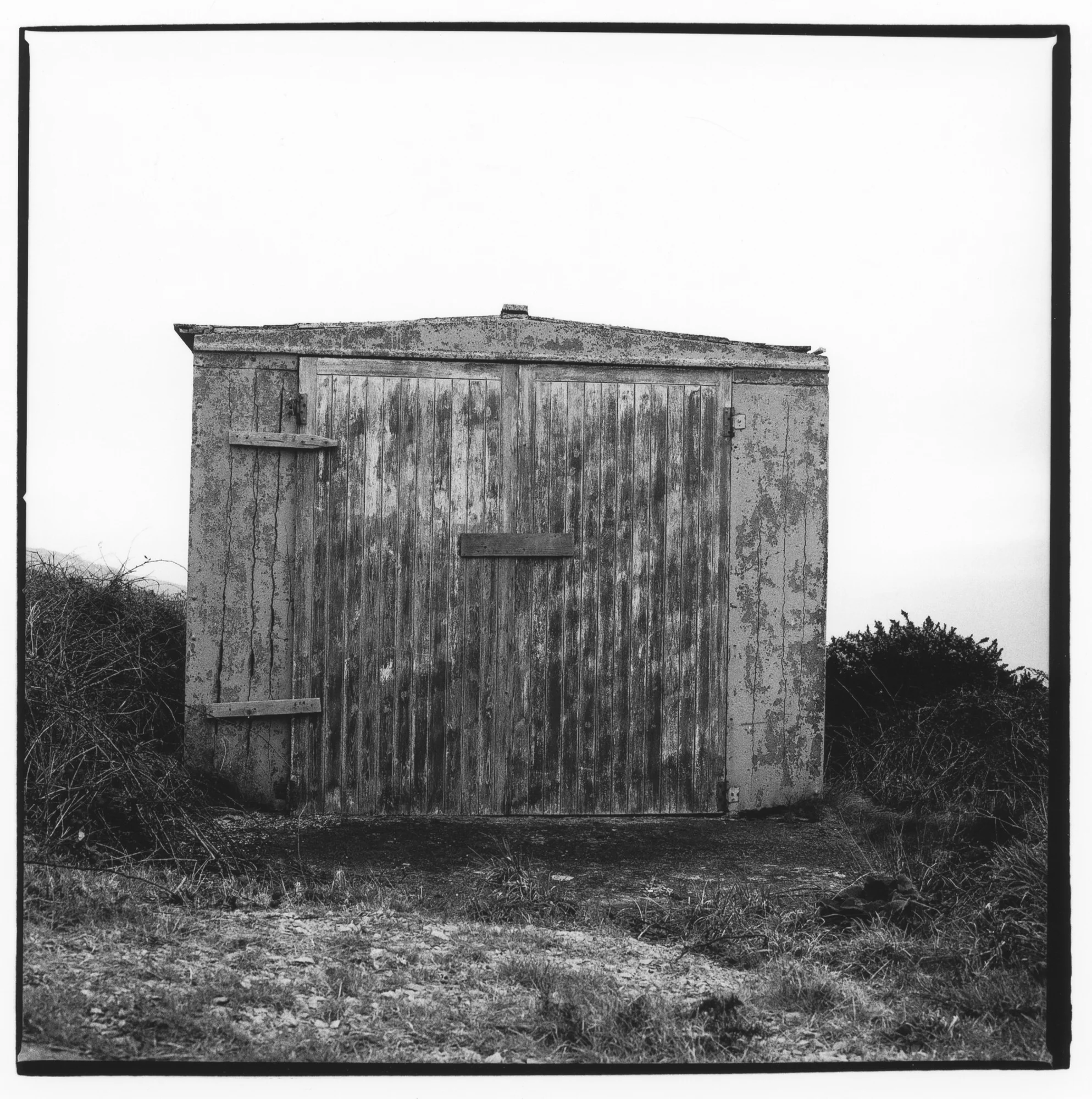 edge (7 of 16).jpg