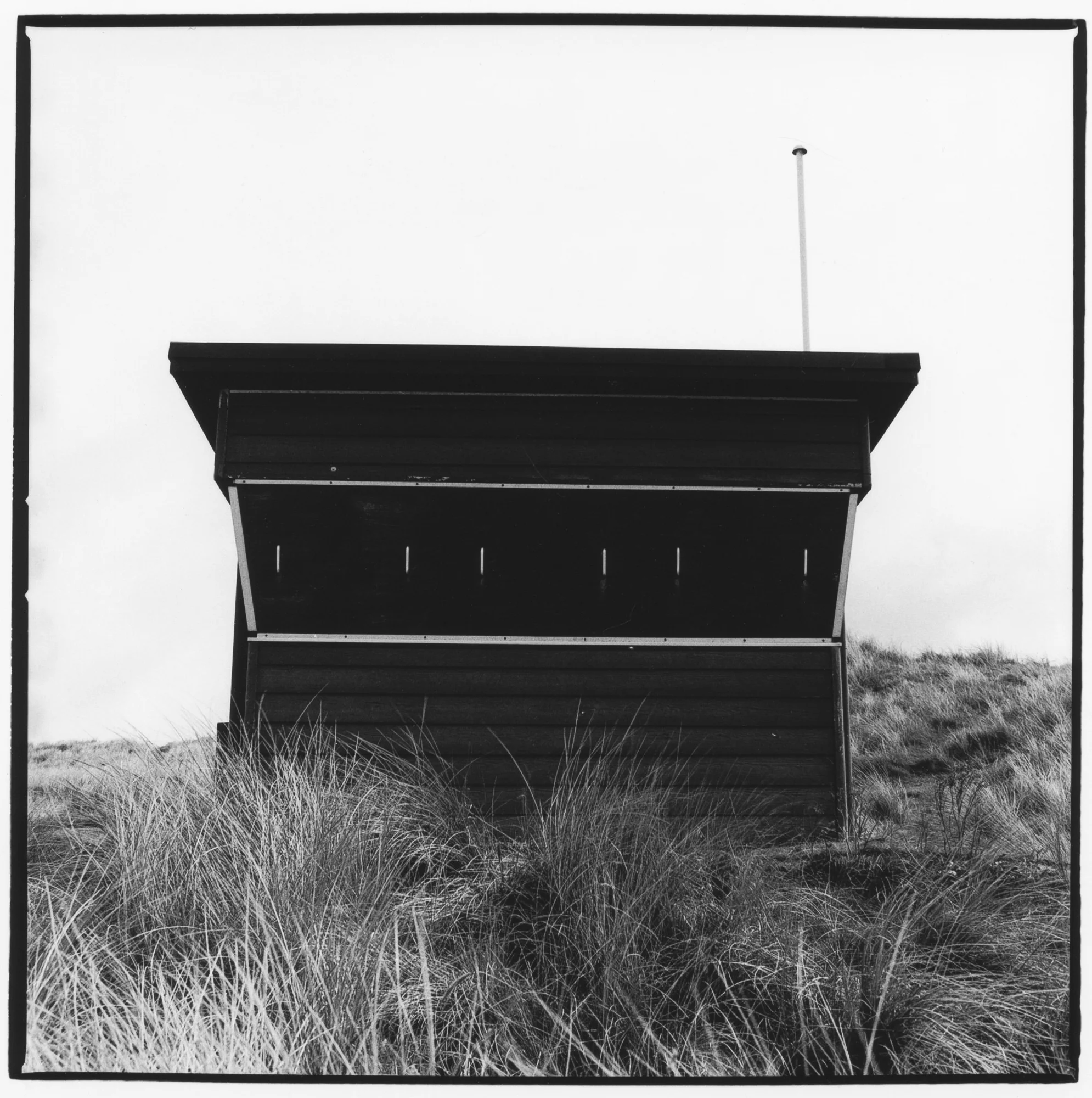 edge (8 of 16).jpg