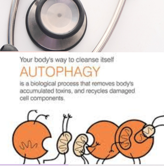 The Healing Power of Autophagy