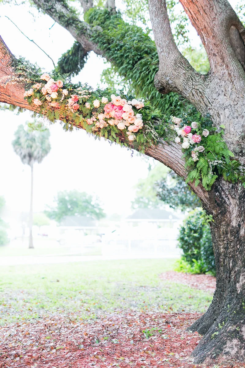 Amalie Orrange Photography