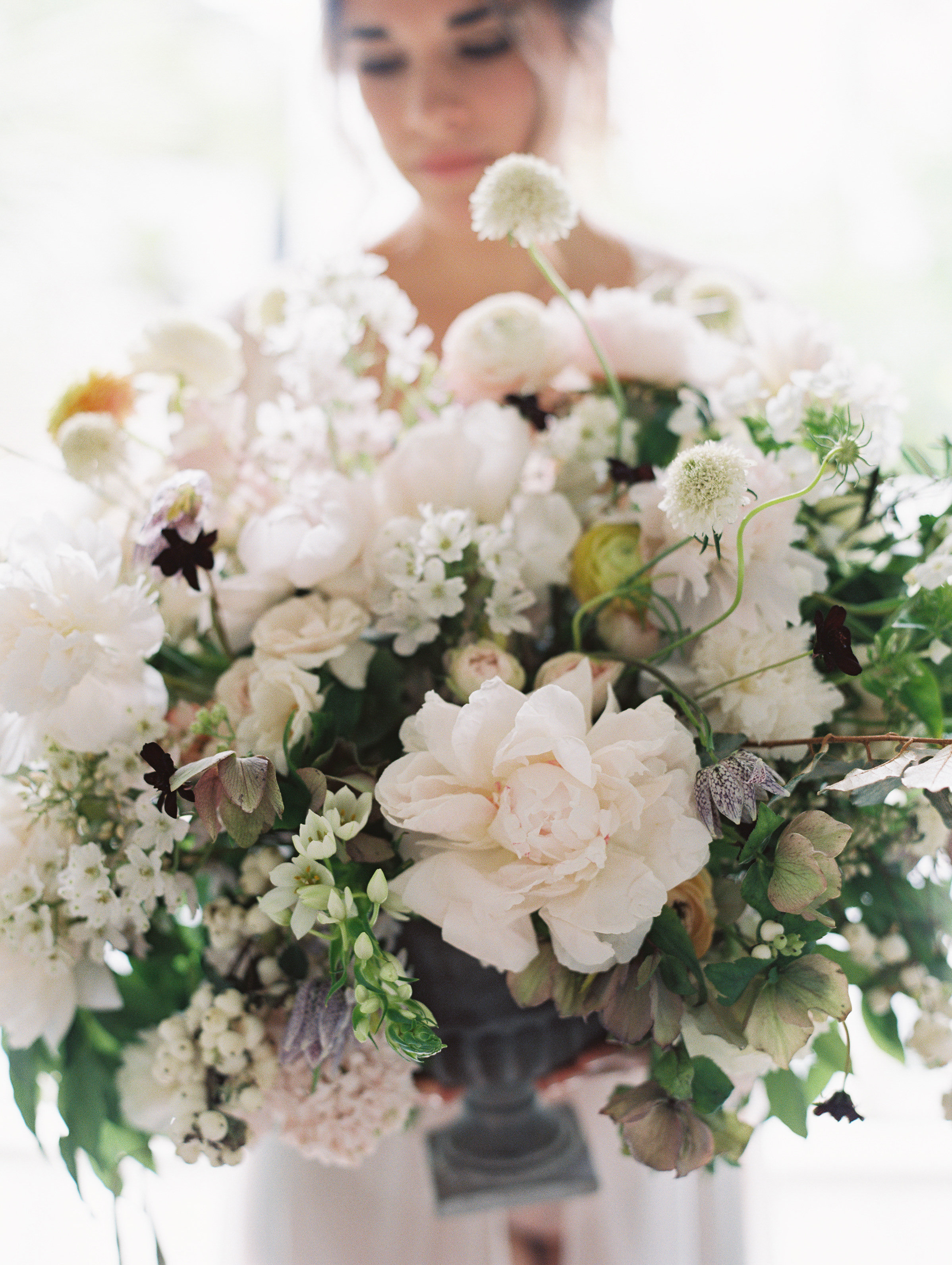 image by The Happy Bloom