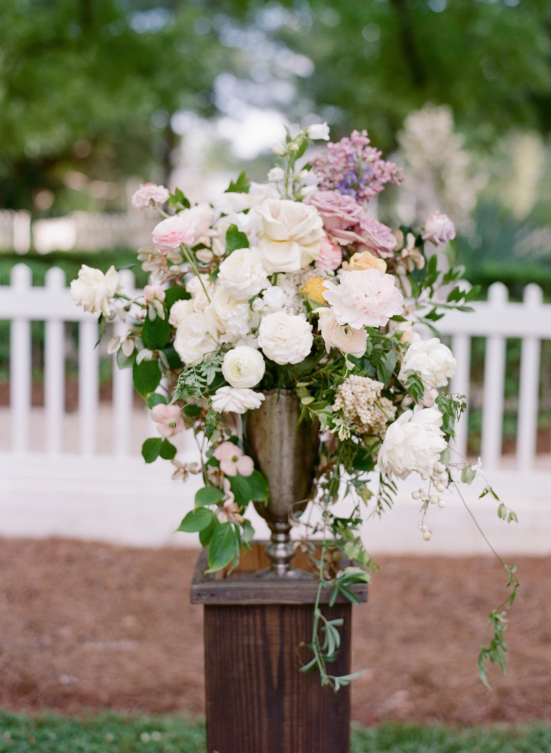 Photography by Anna Shackleford