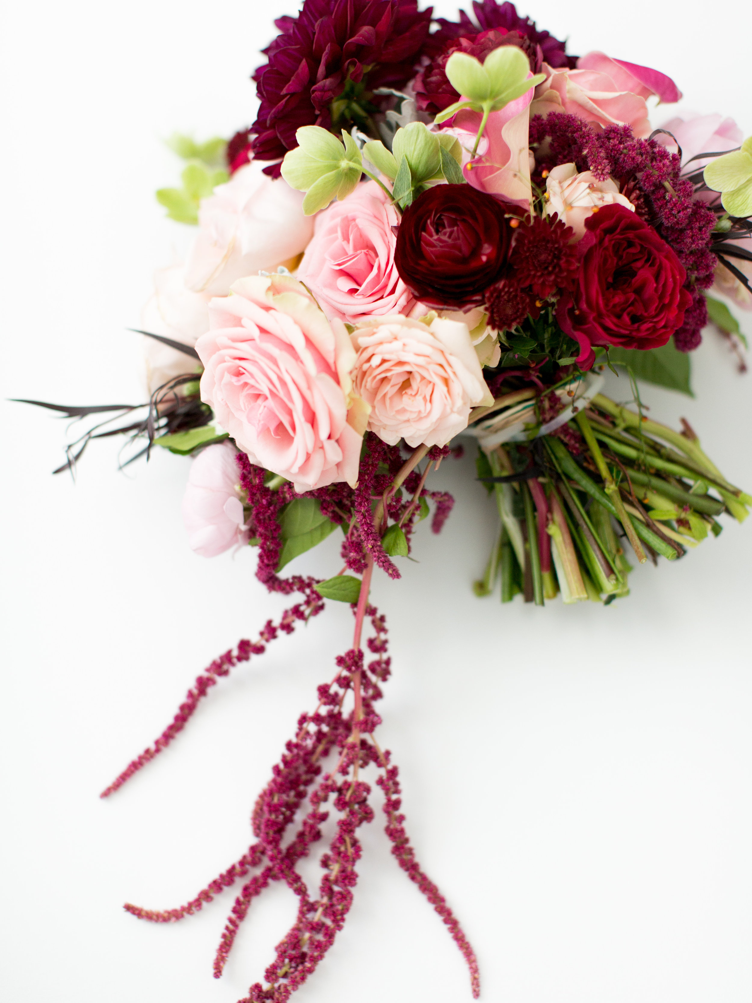 Image by The Happy Bloom