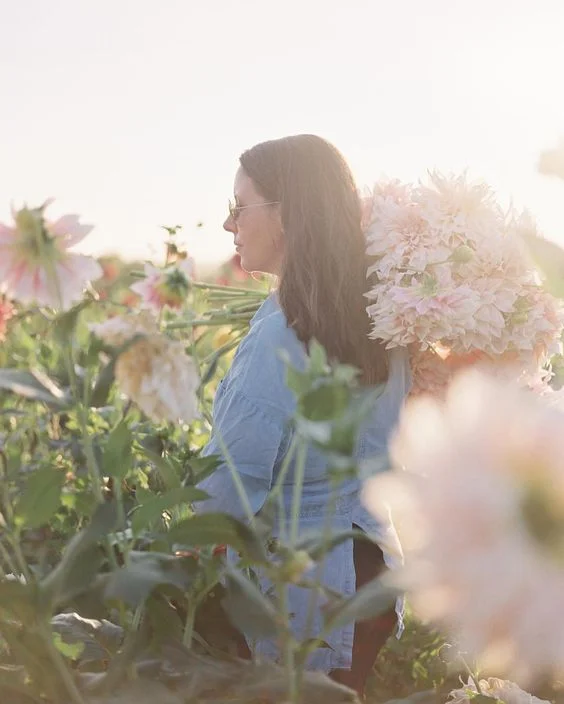 image by Heather Payne at Floret Farm