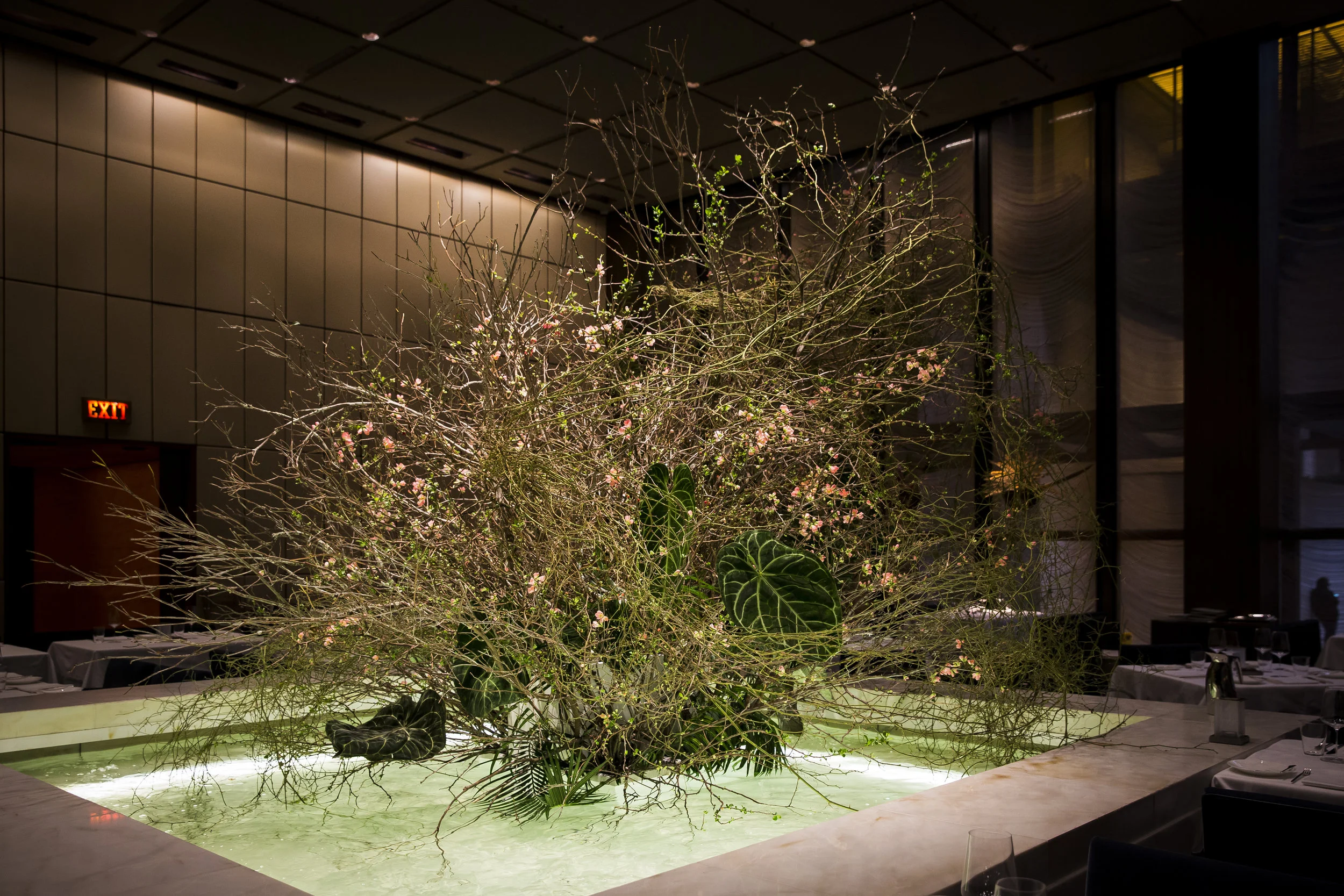 Florals by Emily Thompson Flowers