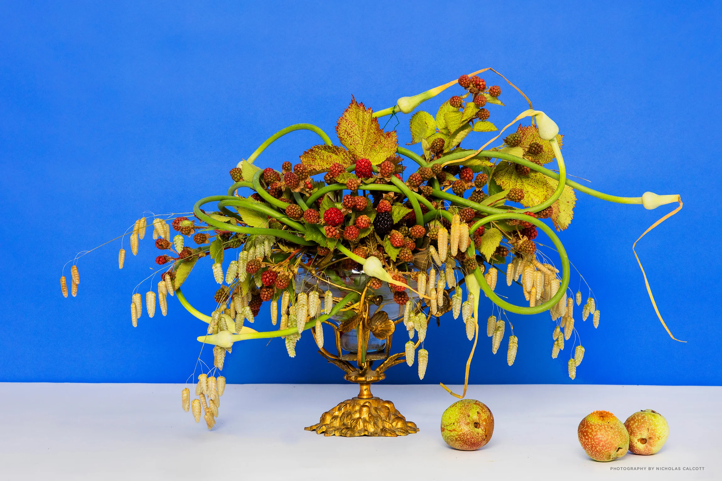 Florals by Emily Thompson Flowers