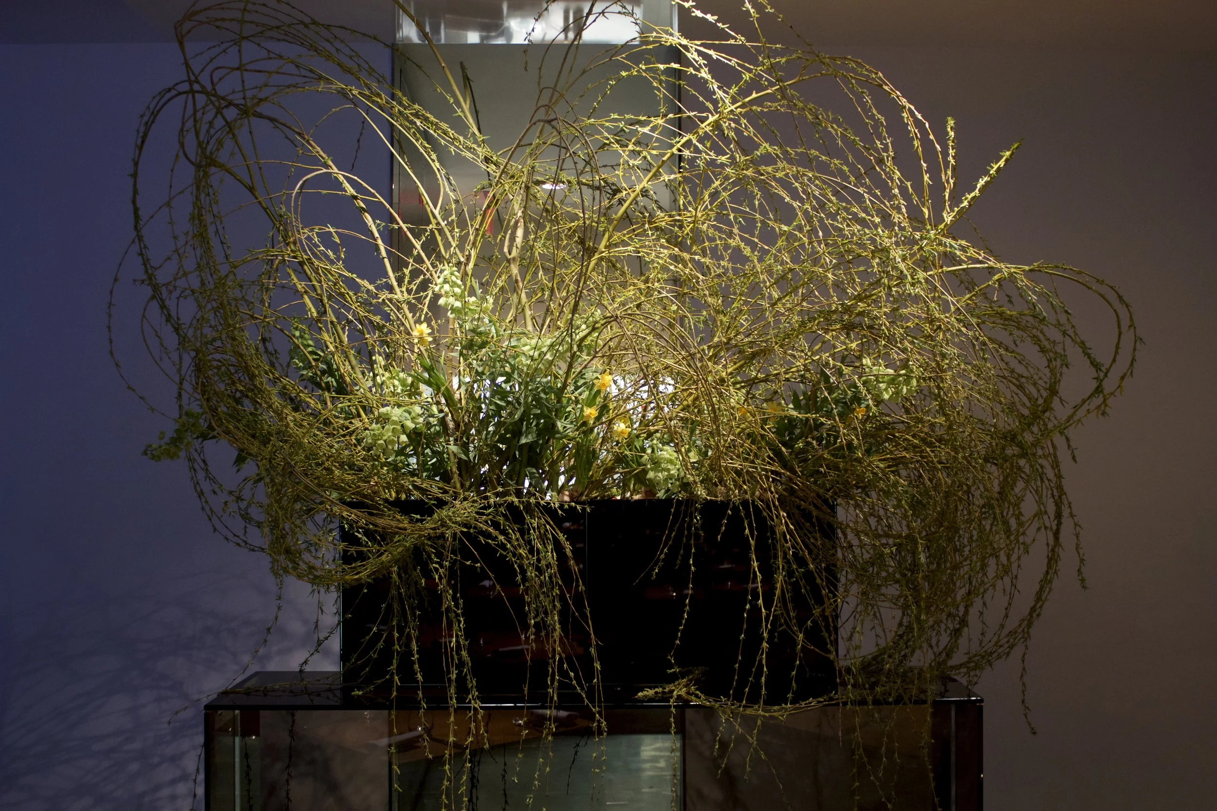 Florals by Emily Thompson Flowers