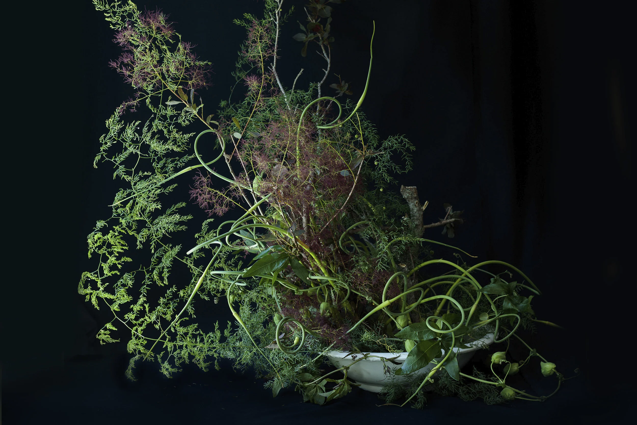 Florals by Emily Thompson 