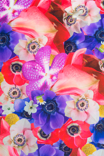 Hyper Scarf Life Scarves Collection Photography by Matt Sills