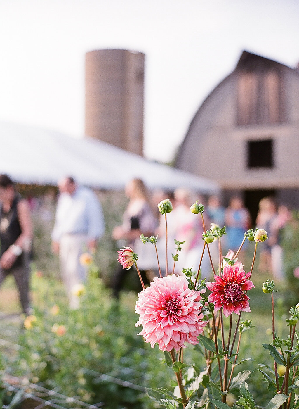 Field to Vase Dinner 2015*