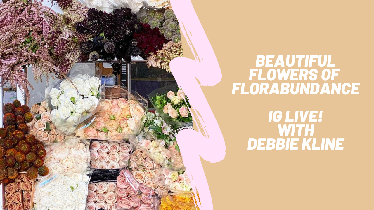 Flower Pull by Debbie Kline at Florabundance