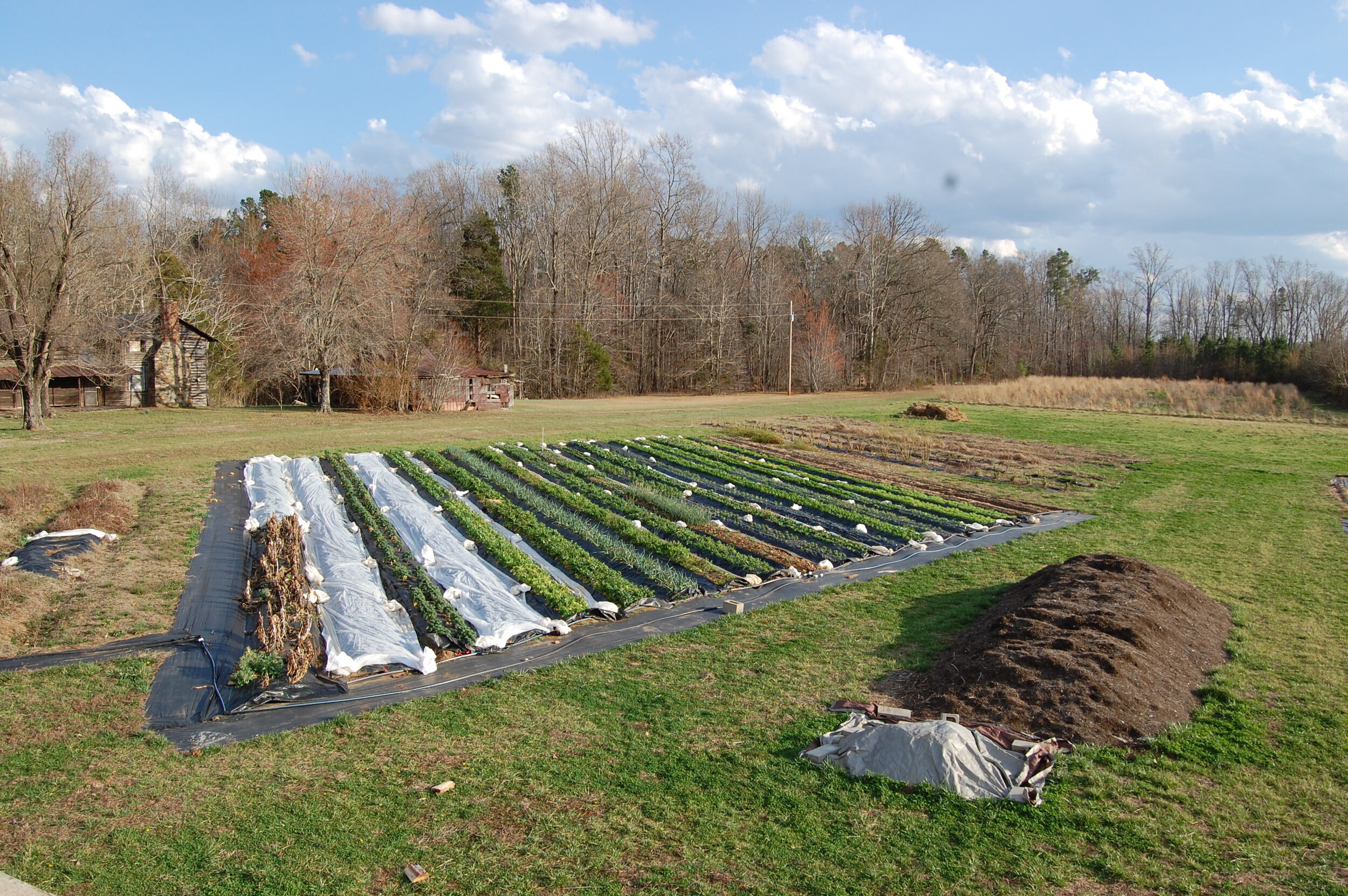 Ariel Barn Beds.JPG