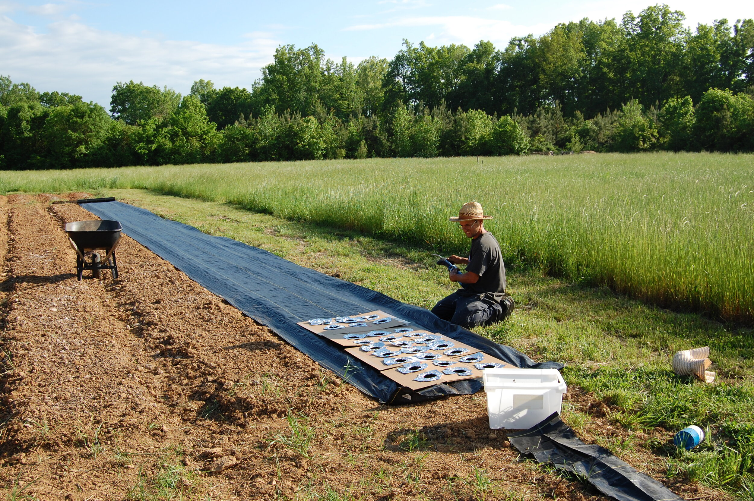 Burning Landscape fabric.JPG