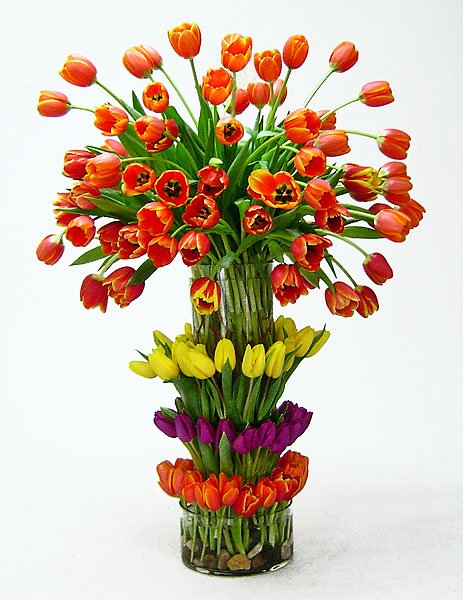 Tulips-Podium-Piece.jpg