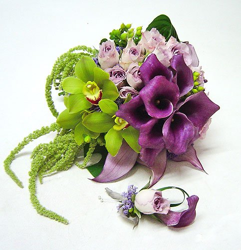 Purple-Calla-Green-Orchid-B.jpg