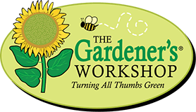 cropped-WORKSHP-LOGO-333-1.png