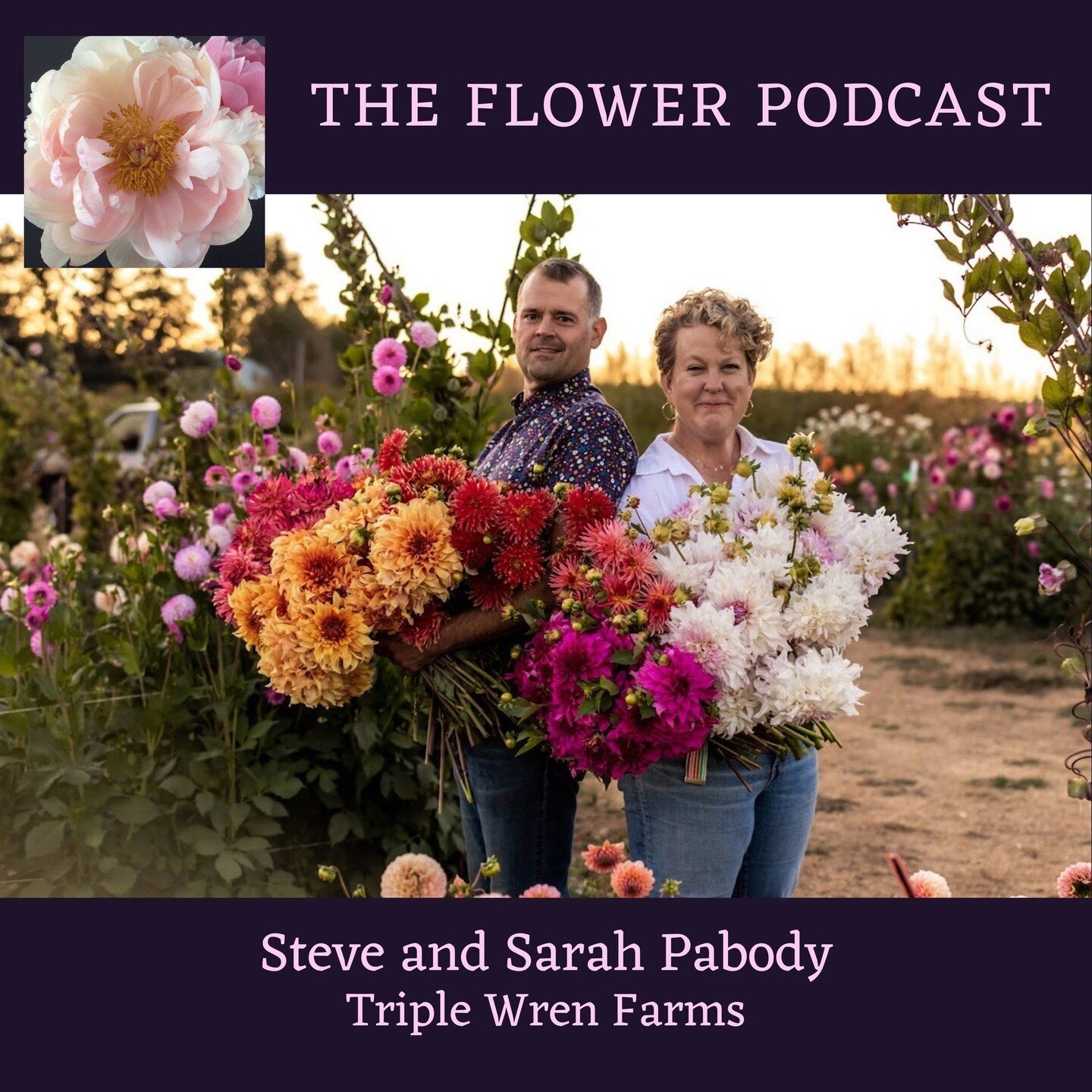 ⁠It&rsquo;s all things dahlias this week with Steve and Sarah Pabody of Triple Wren Farms on The Flower Podcast! Steve and Sarah are here to share their journey, from choosing the perfect dahlia blooms to finding joy in the balance between passion an