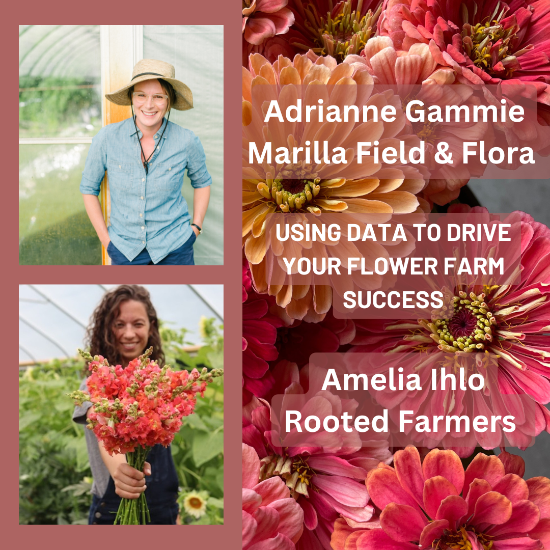 Using Data to Drive Your Flower Farming Success: Insights from             Adrianne Gammie of Marilla Field &amp; Flora and Amelia Ihlo of Rooted Farmers