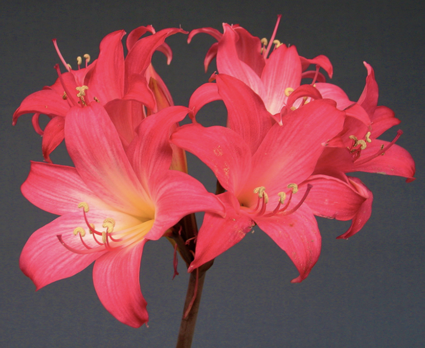 Screenshot 2025-10-29 at 1.26.00 PM.png