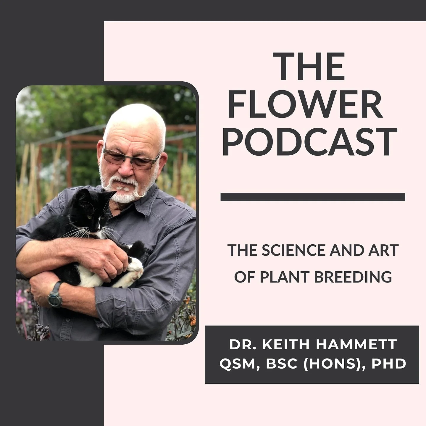 Beauty doesn&rsquo;t just happen. It&rsquo;s bred with passion, patience, and imagination, and behind every breathtaking flower are years of vision, experimentation, and hope.
This week my guest is @drkeithhammett New Zealand&rsquo;s leading ornament