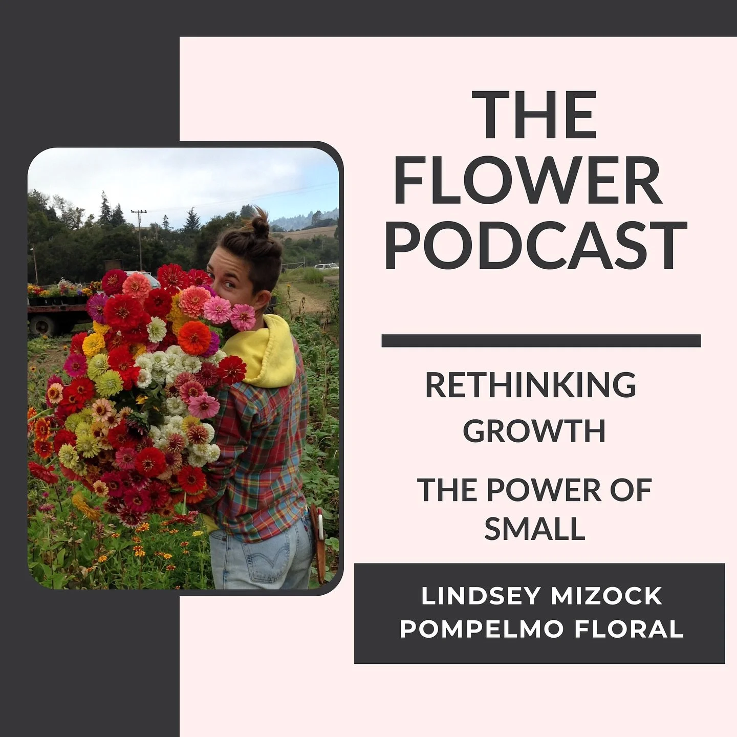 I love conversations that make me stop and think &mdash; and this week&rsquo;s episode does exactly that. 

Lindsey Mizock of @pompelmoooo joins me to talk about creativity, freelancing, favorite cut flower varieties, and the beauty of working at a p