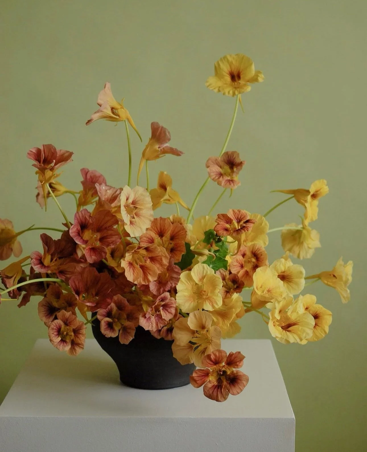 Rethinking Growth?!? No, I&rsquo;m not talking about farming or the flowers you grow, but&hellip;&hellip;&hellip;

Our latest episode with @pompelmoooo also known as Lindsey Mizock, we chat about being intentional with growing your business.  A bigge