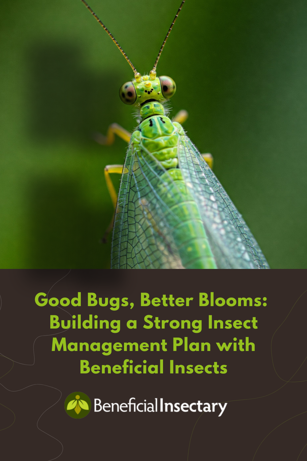 Good Bugs, Better Blooms: Building a Strong Insect Management Plan with Beneficial Insects