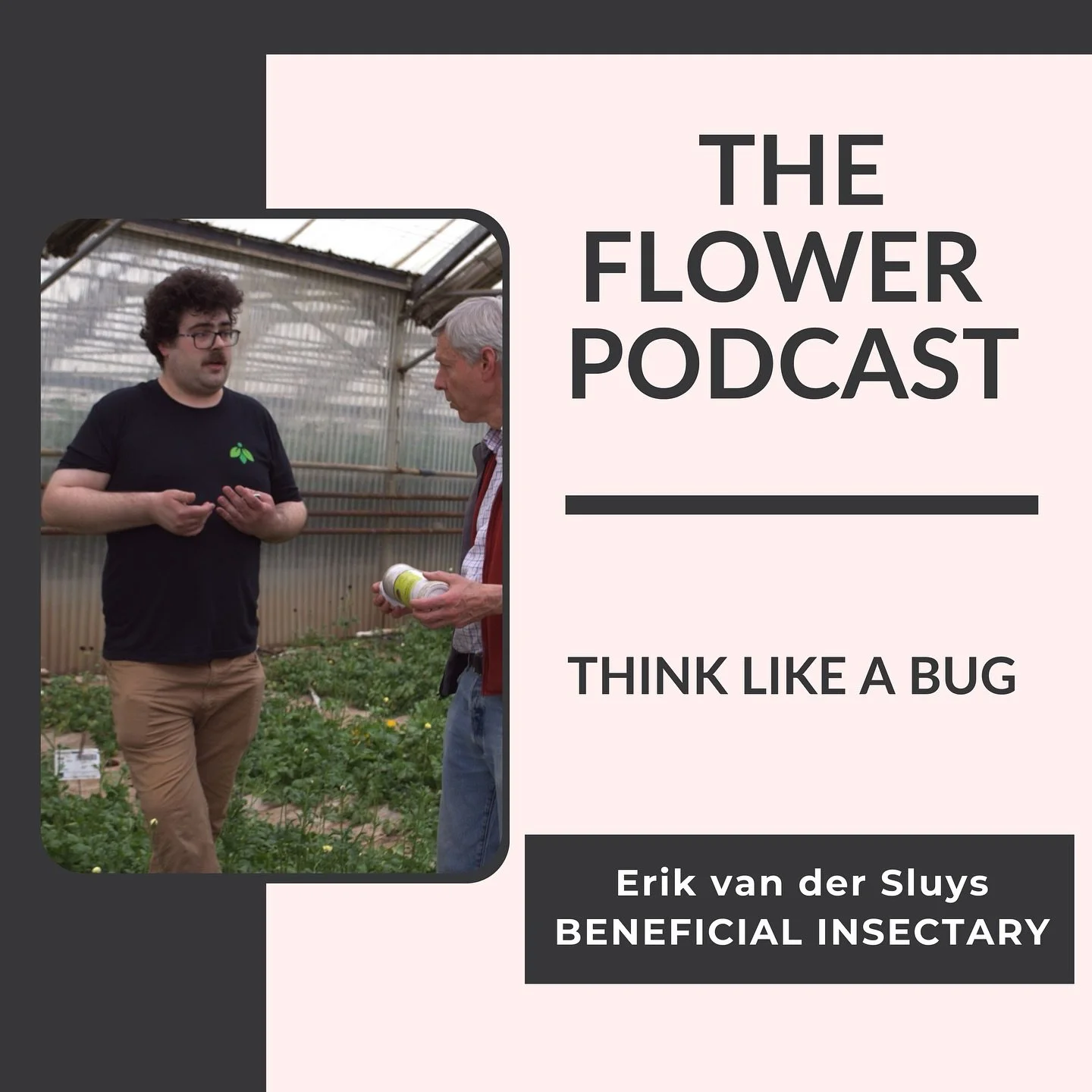 This week on The Flower Podcast, Scott sits down with Erik Van Der Sluys from Beneficial Insectary, a company dedicated to helping growers work with nature through the use of beneficial insects.

Erik breaks down how natural predators, soil-dwelling 