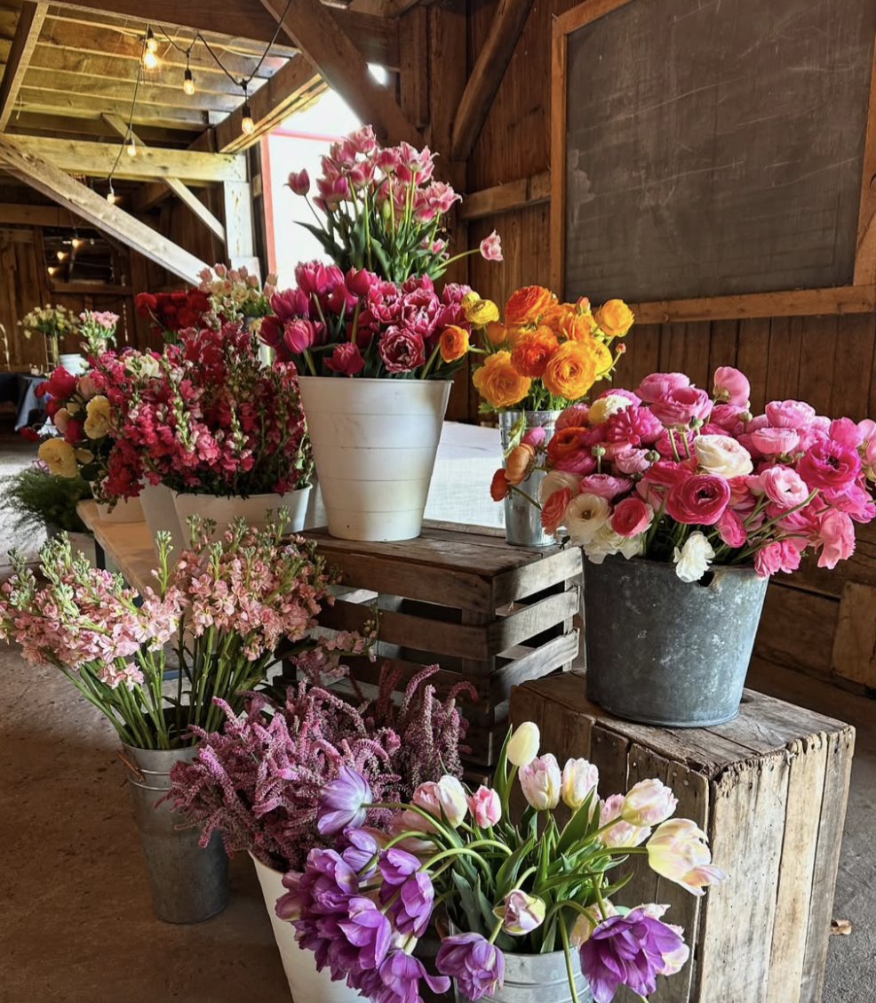 Screenshot 2025-12-17 at 4.55.46 PM.png