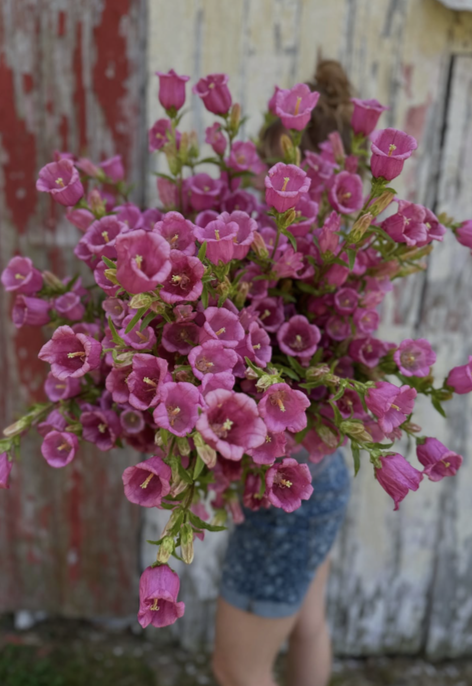 Screenshot 2025-12-17 at 4.54.49 PM.png