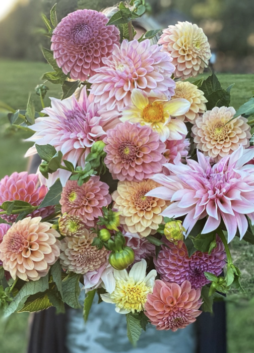 Screenshot 2025-12-17 at 4.53.01 PM.png