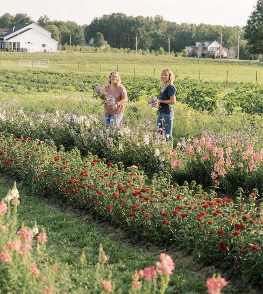 Screenshot 2025-12-17 at 5.03.47 PM.png