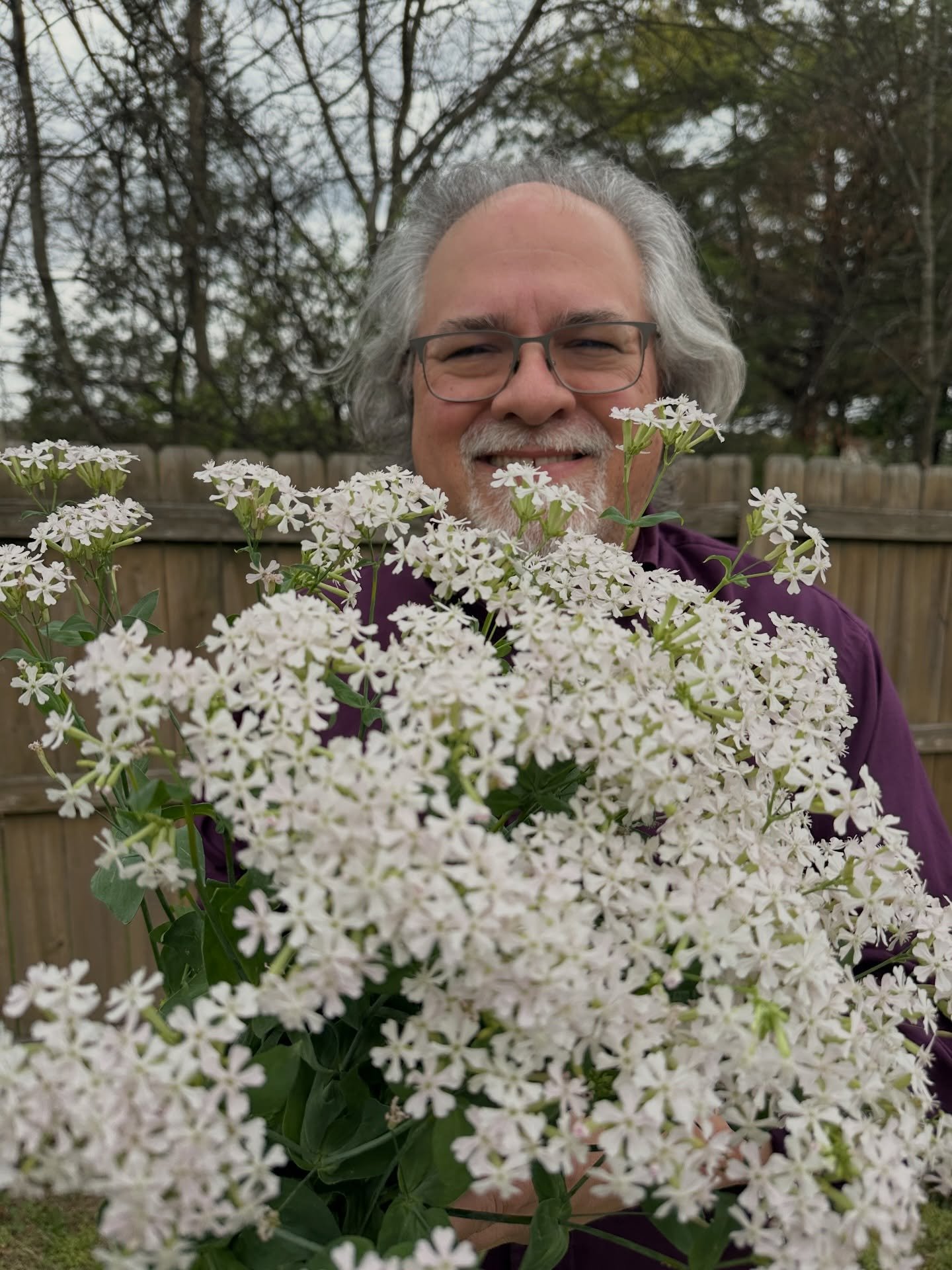 Sometime you come across the right color.

Not all flowers make good cut flowers.  Well maybe they do, but the color or shade that is the most well known doesn&rsquo;t work.  This is a newish variety of Silene armeria.  I&rsquo;m not sure of the cult