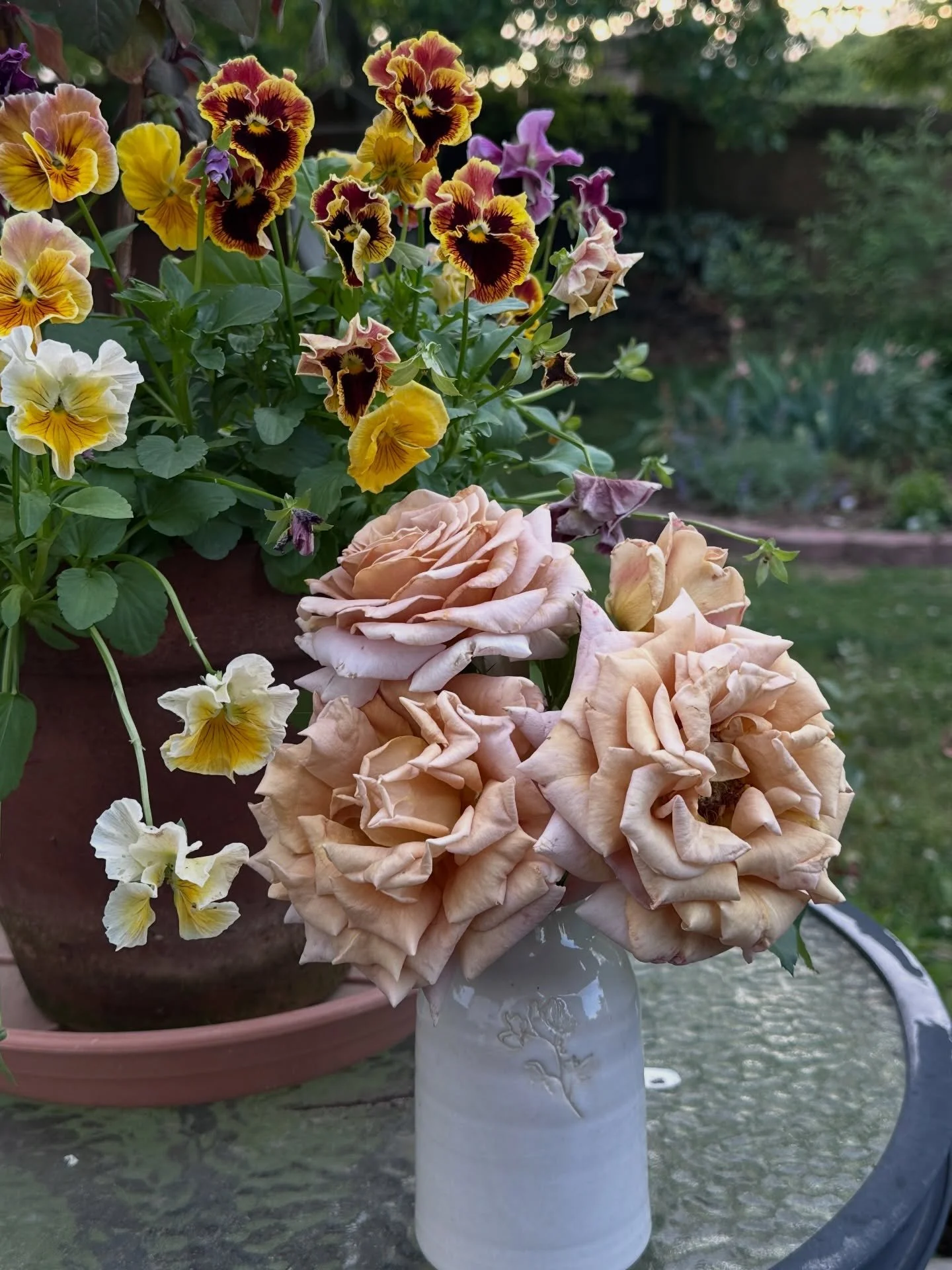 Sharing some jewels from the garden&hellip;.

My &lsquo;Honey Dijon&rsquo; are blooming with a wave of blooms on the horizon.  Love the fragrance and the color!! Great for your cut flower garden and loved by florists.  Thank you for this amazing rose