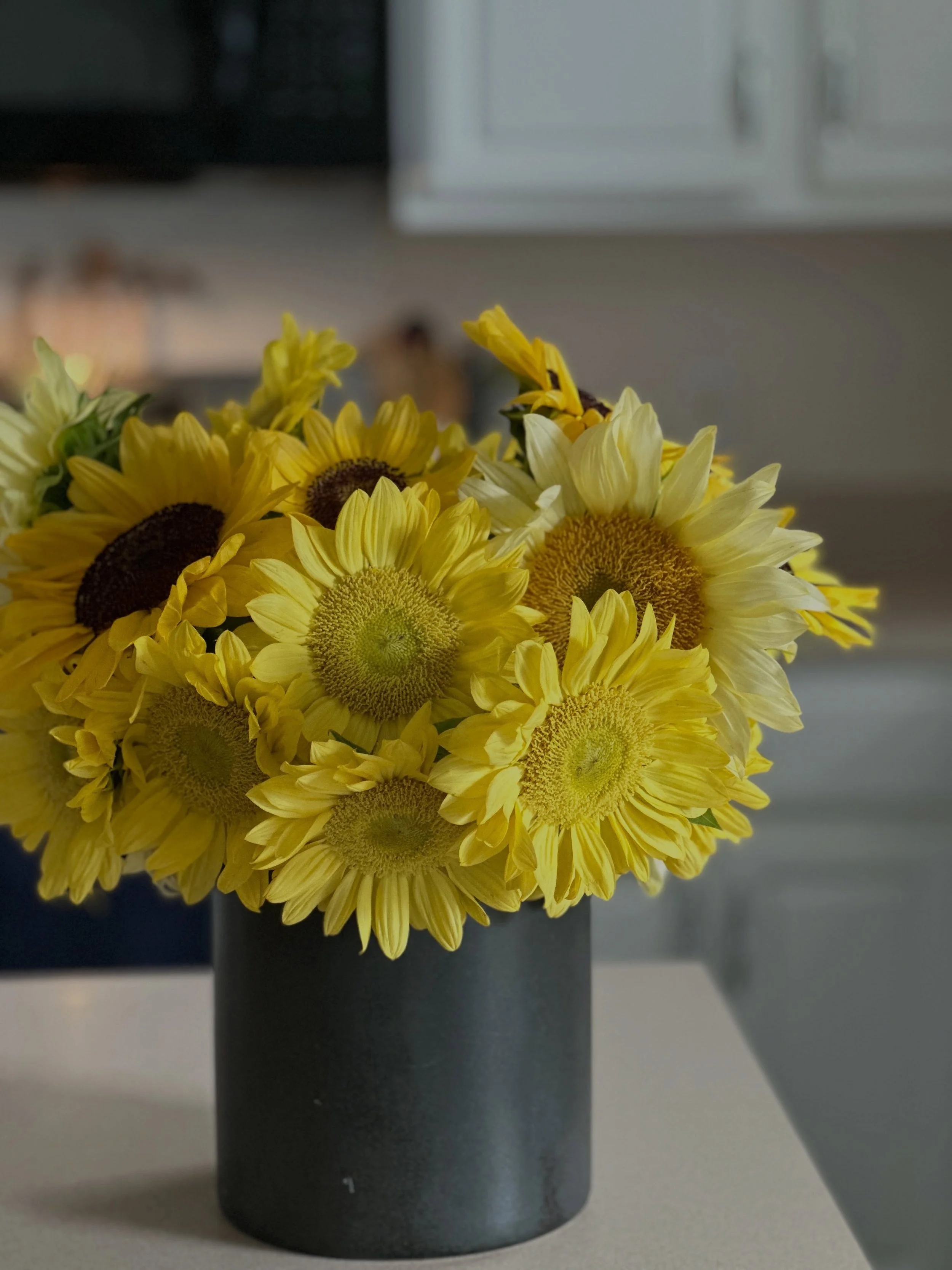 Let&rsquo;s chat about sunflowers!!

There are so many wonderful sunflowers. 💛🌻🌻🌻

I have always felt strongly there is a sunflower for almost every season(ok, maybe not Christmas). But not every sunflower is for every season.

I would love to kn
