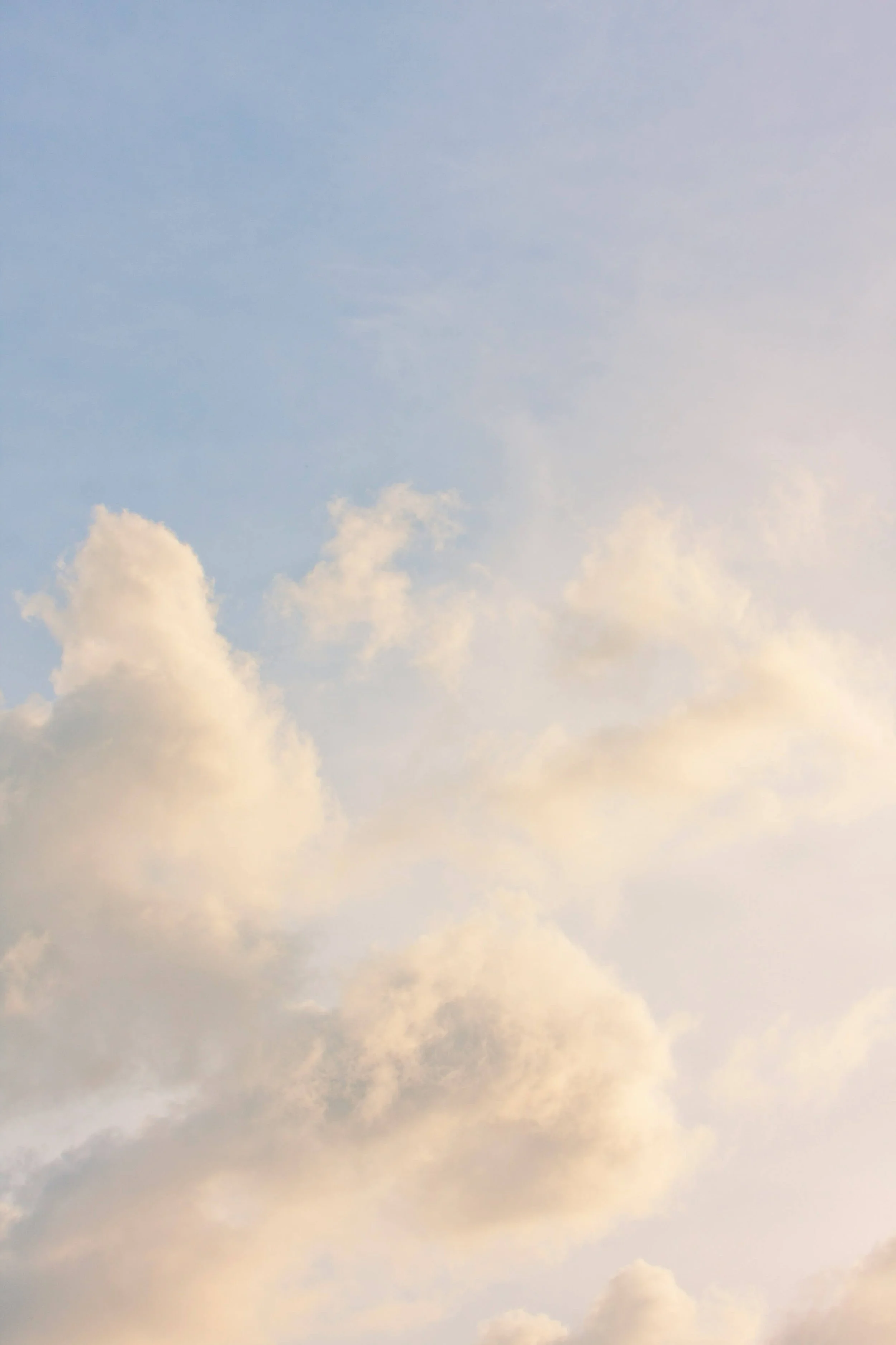 matt-palmer-WHJ1VaQpPsg-unsplash-2.jpg