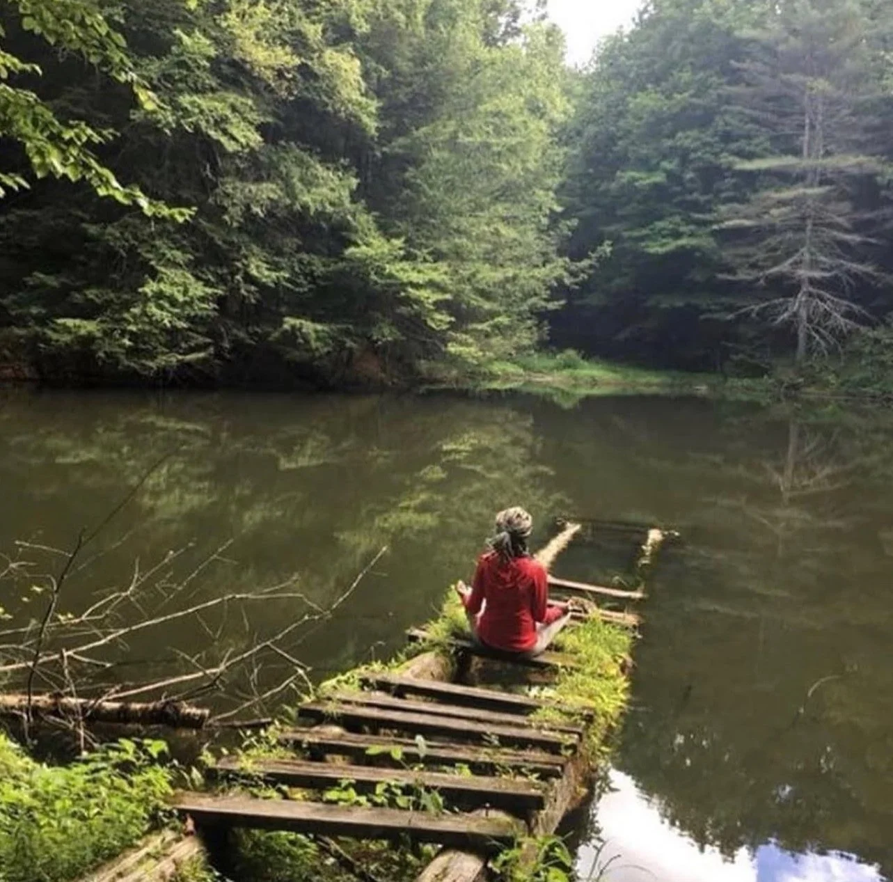 Yoga Therapy: A Wholistic Approach to Harnessing Health and Well-being!