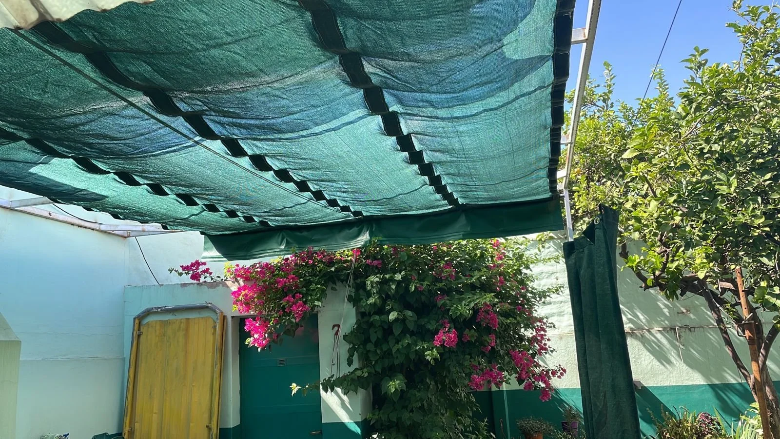 toldo para patio.jpg
