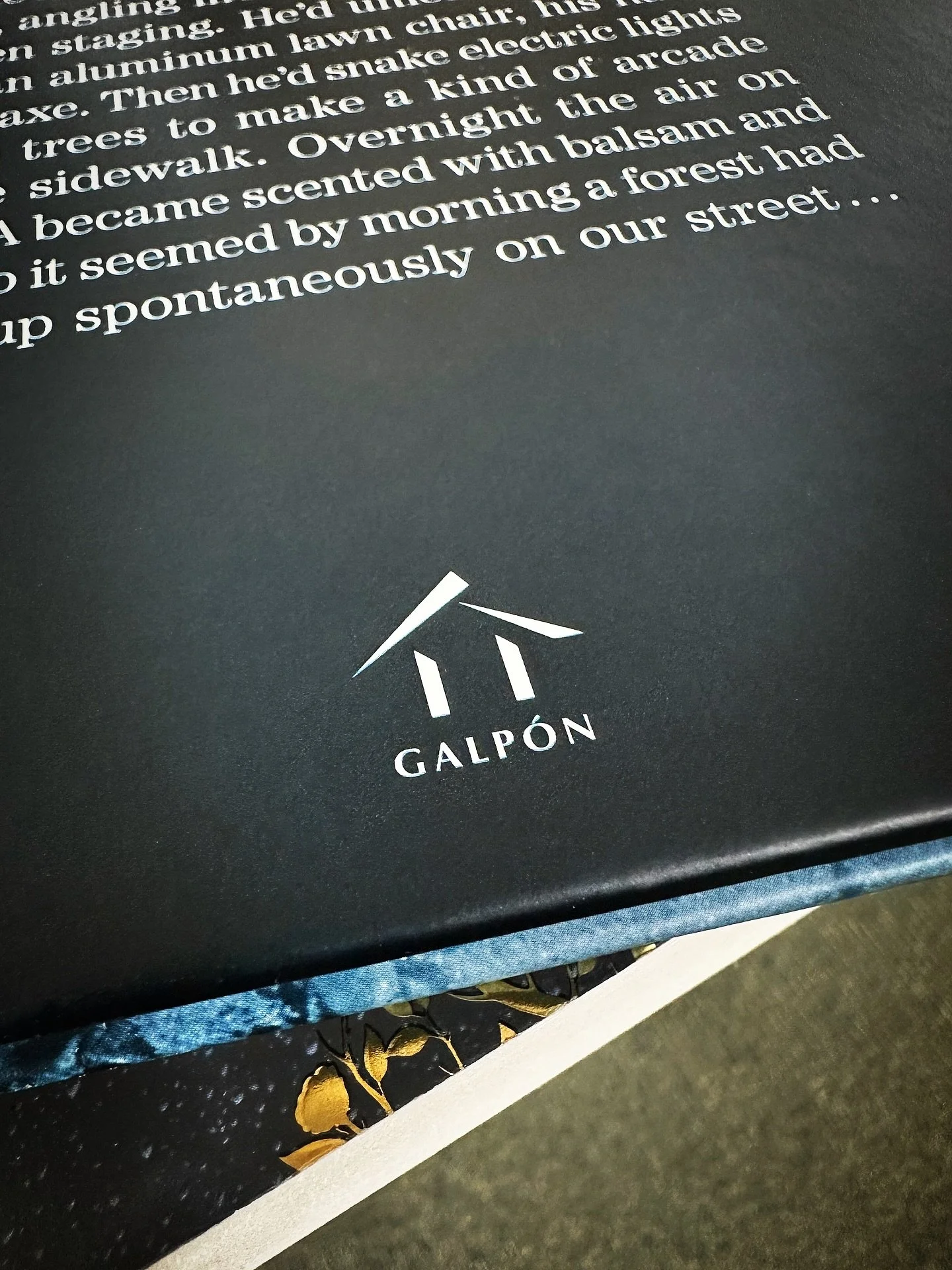 Finally I saw a book with my logo on it in a bookstore for the first time today!
&ldquo;The Wildcutter&rsquo;s Christmas&rdquo;
A book by Galp&oacute;n Press featuring my logo.
Seeing it displayed on the shelf was truly moving.
I am sincerely gratefu