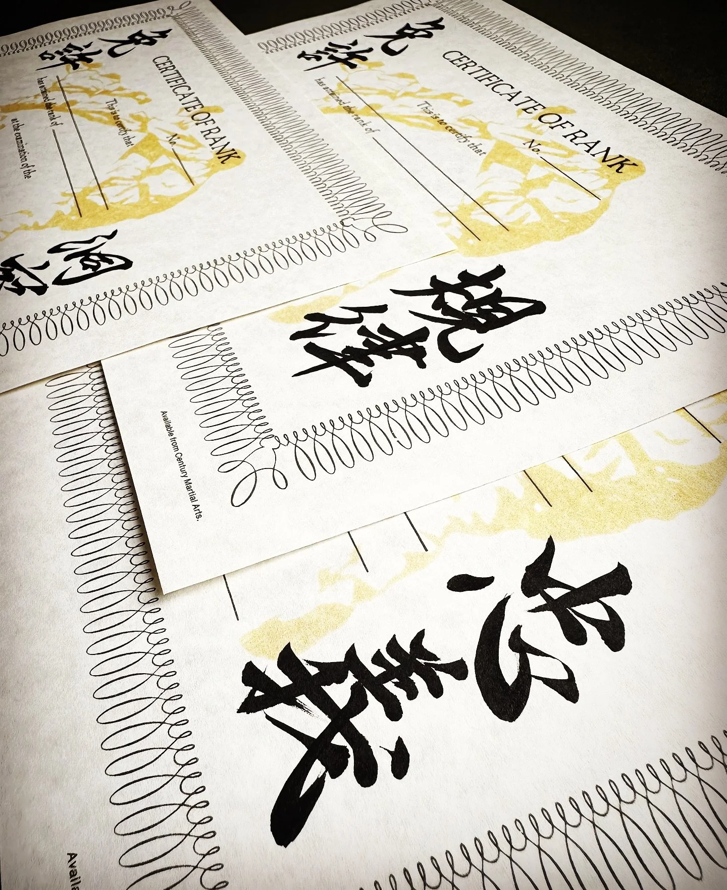 Custom calligraphy for Karate Certificates✍🏻🥋

Each piece was created with respect for the discipline and spirit behind every achievement✨
Thank you very much for entrusting me with this special project.

I can also write directly on paper or mater