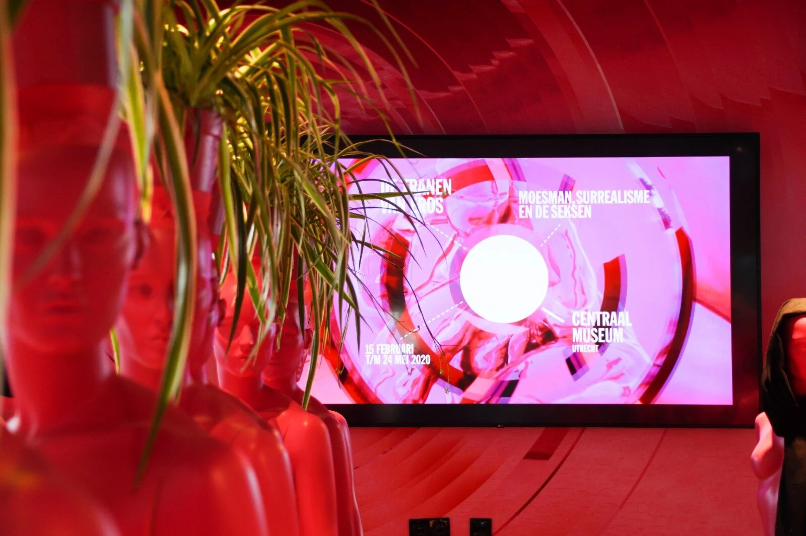 WhatsApp Image 2020-03-03 at 09.22.07.jpeg