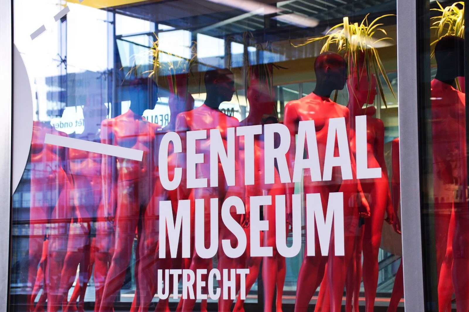 WhatsApp Image 2020-03-03 at 09.22.07-2.jpeg