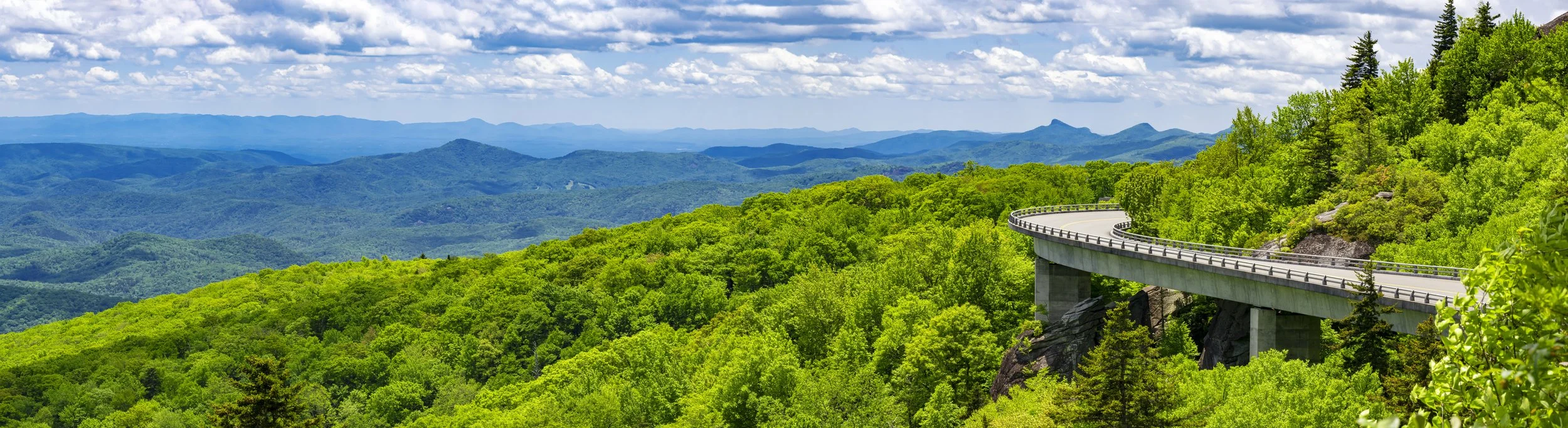 Trademark Transportation- Global.jpg