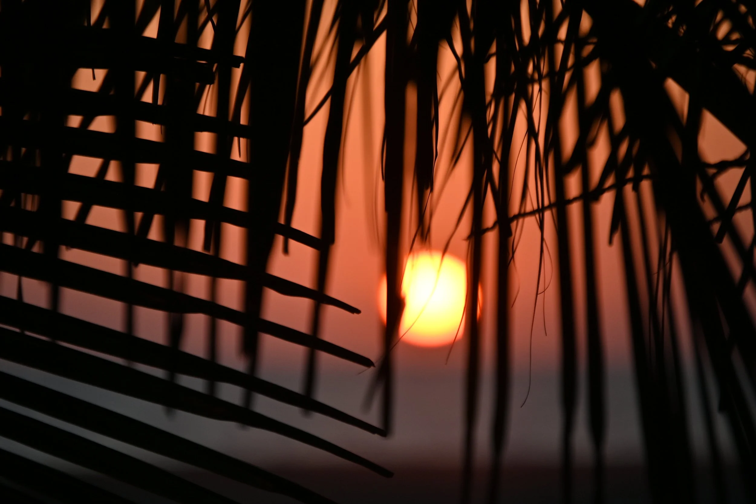 DSC_5562.jpeg