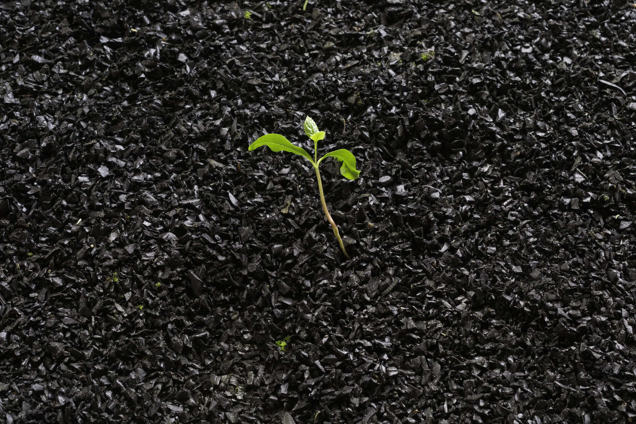 Breakthroughs and Adaptations