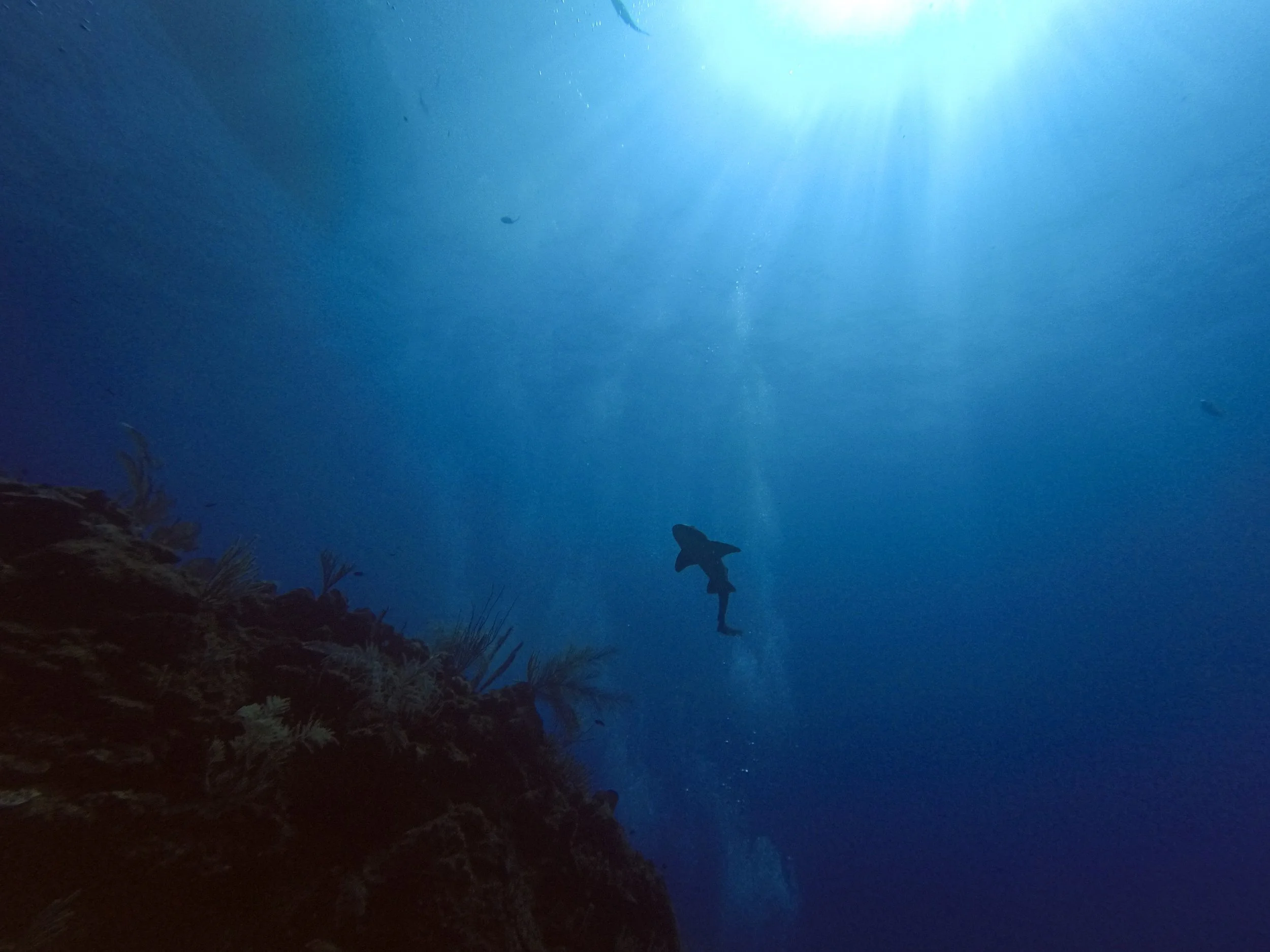 GPTempDownload 2.JPG